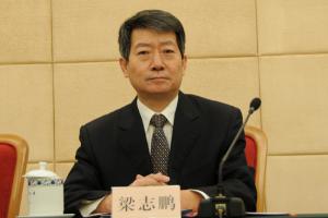 國家能源局發布 2017年生物質發電并網情況