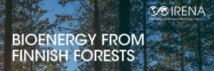 來自芬蘭森林的生物能源，IRENA報告：可持續，高效，現代化的木材利用