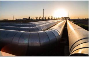 國家能源局綜合司關(guān)于開展油氣管網(wǎng)設(shè)施公平開放信息公開和信息報送專項(xiàng)督查工作的通知