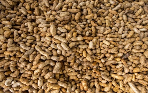 阿根廷花生生產(chǎn)商運(yùn)營10兆瓦生物質(zhì)發(fā)電廠