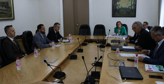 能源部考慮放寬新電動汽車進口