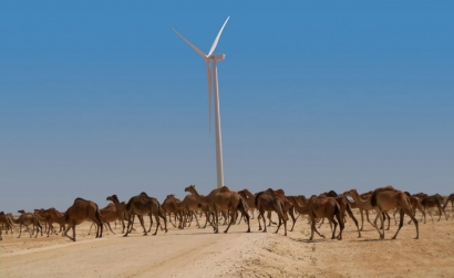 Elecnor被授予毛里塔尼亞第二個風(fēng)電場的建設(shè)權(quán)