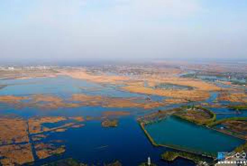 河北雄安新區將建設生態濕地凈化系統