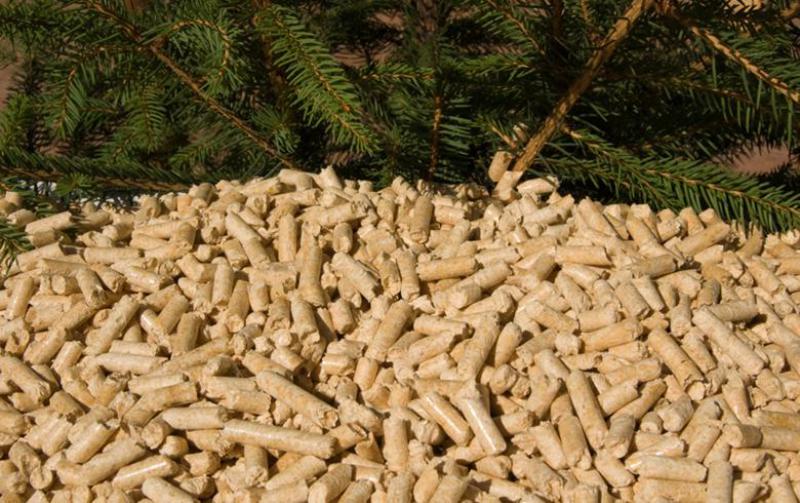 住友重機工業有限公司(SHI)在日本，韓國獲得生物質項目