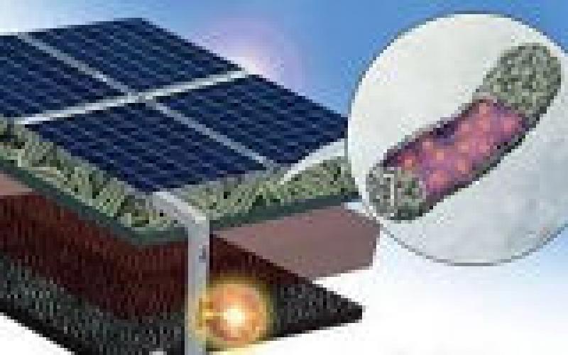 加拿大開發出大腸桿菌太陽能電池