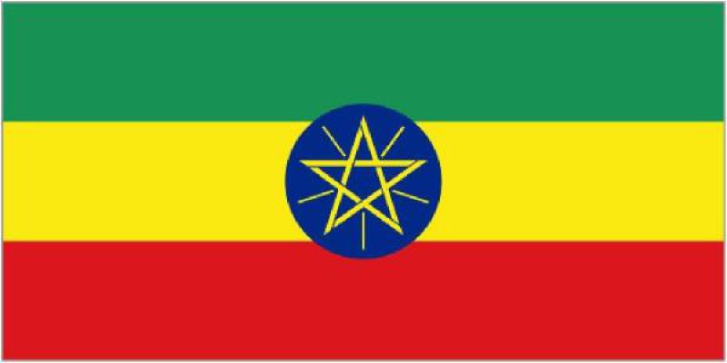 埃塞俄比亞能源概況：太陽(yáng)能及最佳實(shí)踐案例