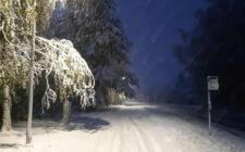 愛沙尼亞南部地區(qū)受暴風雪影響，致數(shù)萬家庭無電