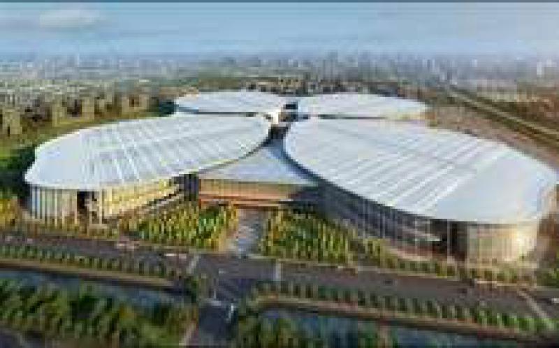 孟振平參加進博會開幕式，加快建設成為具有全球競爭力的世界一流企業，將加強對“一帶一路”沿線國家的能源資源開發與合作