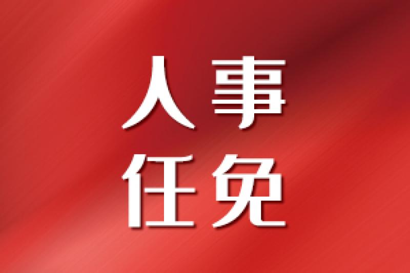 國家電投總經理調整