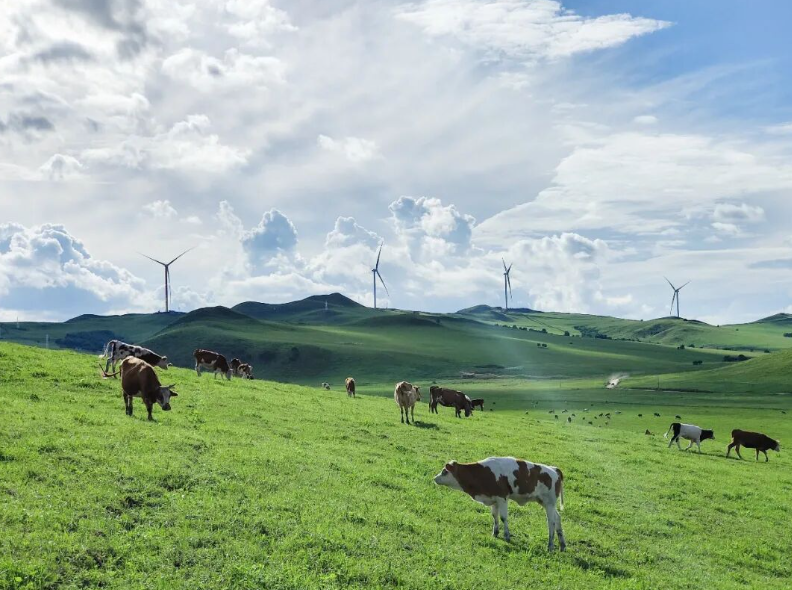 中廣核國內(nèi)風(fēng)電、光伏等新能源在運裝機突破7000萬千瓦