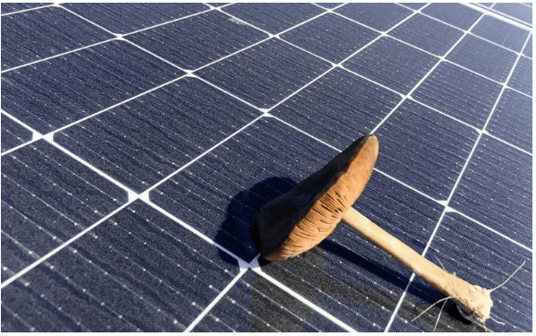 房地產(chǎn)集團(tuán)在加州規(guī)劃700兆瓦太陽能園區(qū)與電池儲(chǔ)能項(xiàng)目