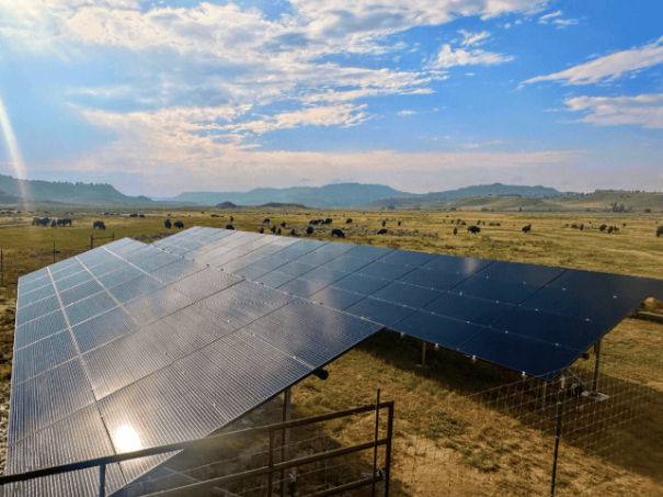 北夏延部落采用離網(wǎng)太陽能系統(tǒng)為水牛牧場供電